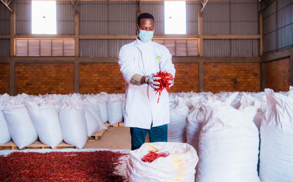 Diego Twahirwa, a young Rwandan entrepreneur in agribusiness. He landed a deal to supply 50,000 tonnes of dried chili worth $100 million to China (Courtesy) (1)