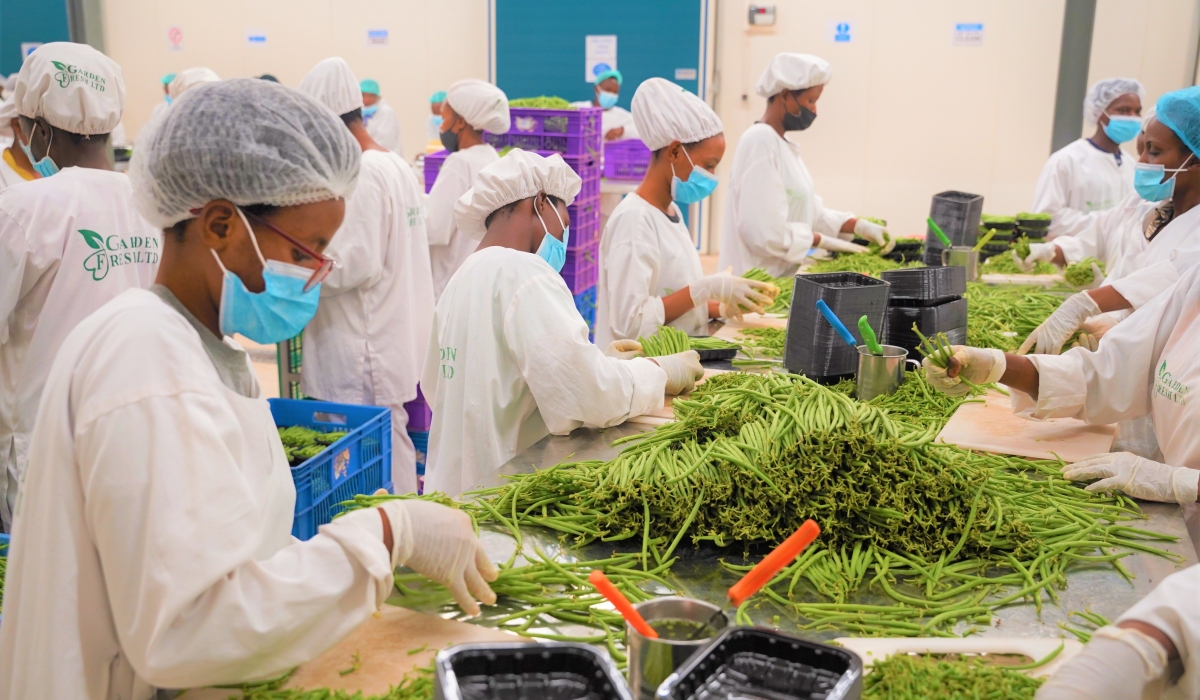 Workers sort fresh green beans for export at the newly inaugurated Rwanda’s first privately owned packhouse at Kigali Special Economic Zone in Masoro on September 8. Photo by Craish Bahizi