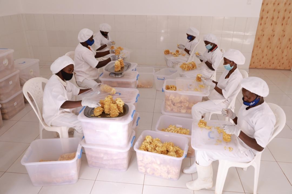 Workers sort dry pineapples at one of small enterprises financed by BDF in Eastern Province. The Fund  is moving out of quasi equity investments into small, and medium enterprises  as this form of financing was not performing well. File