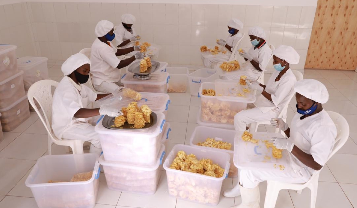 Workers sort dry pineapples at one of small enterprises financed by BDF in Eastern Province. The Fund  is moving out of quasi equity investments into small, and medium enterprises  as this form of financing was not performing well. File