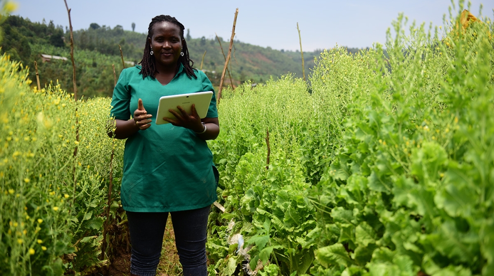 Juliette Yaramba in her vegetable field in Rulindo District. / FAOTeopista Mutesi