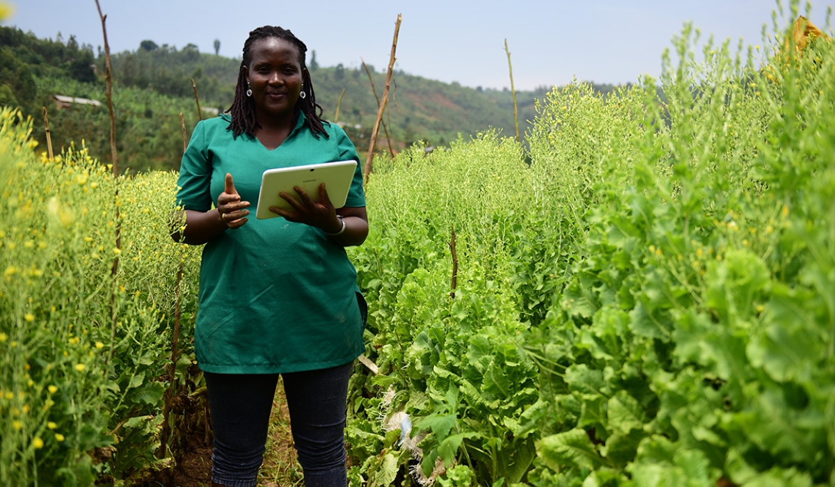 Juliette Yaramba in her vegetable field in Rulindo District. / FAOTeopista Mutesi