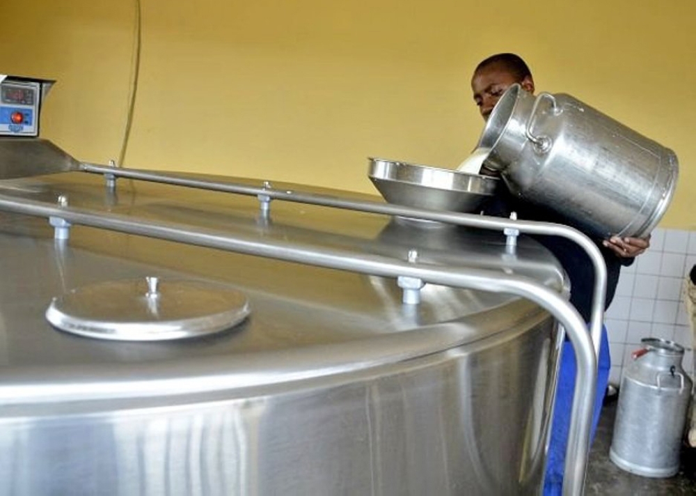 A worker on duty at a milk collection centre in Nyaruguru District. Rwanda will be producing 1,250,000 tonnes of milk every year by 2024 to satisfy market demand. Photo: File.