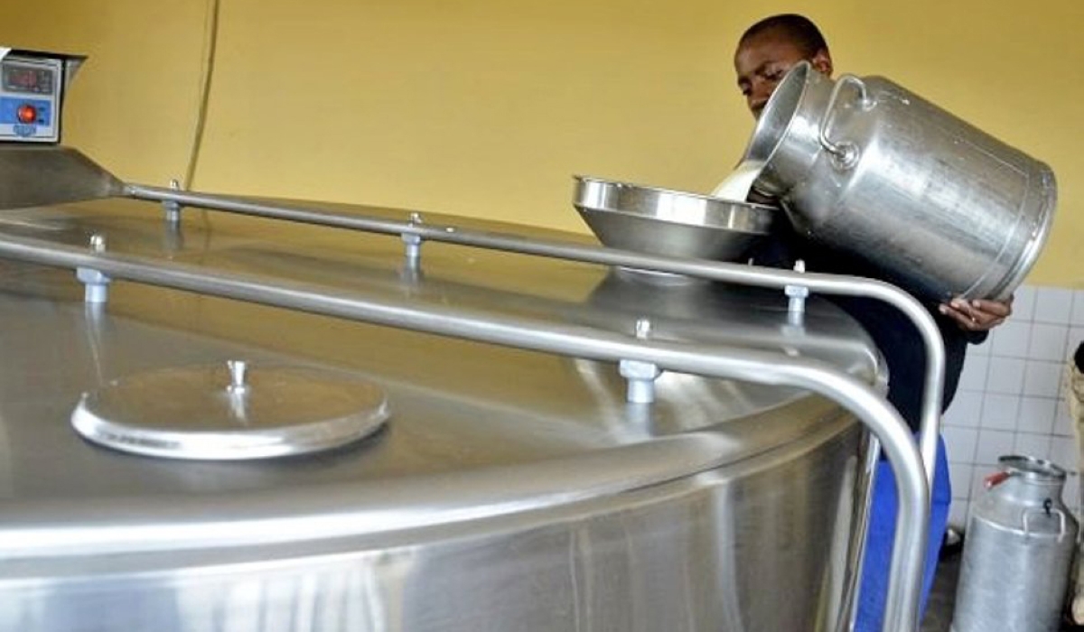 A worker on duty at a milk collection centre in Nyaruguru District. Rwanda will be producing 1,250,000 tonnes of milk every year by 2024 to satisfy market demand. Photo: File.