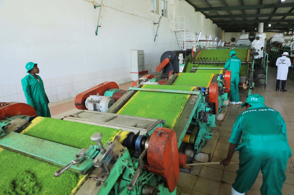 Workers on duty at Kitabi Tea Factory in Nyamagabe District on Thursday, December 15. Rwanda’s economy grew 10 per cent in the third quarter of 2022. Photo by Craish BAHIZI