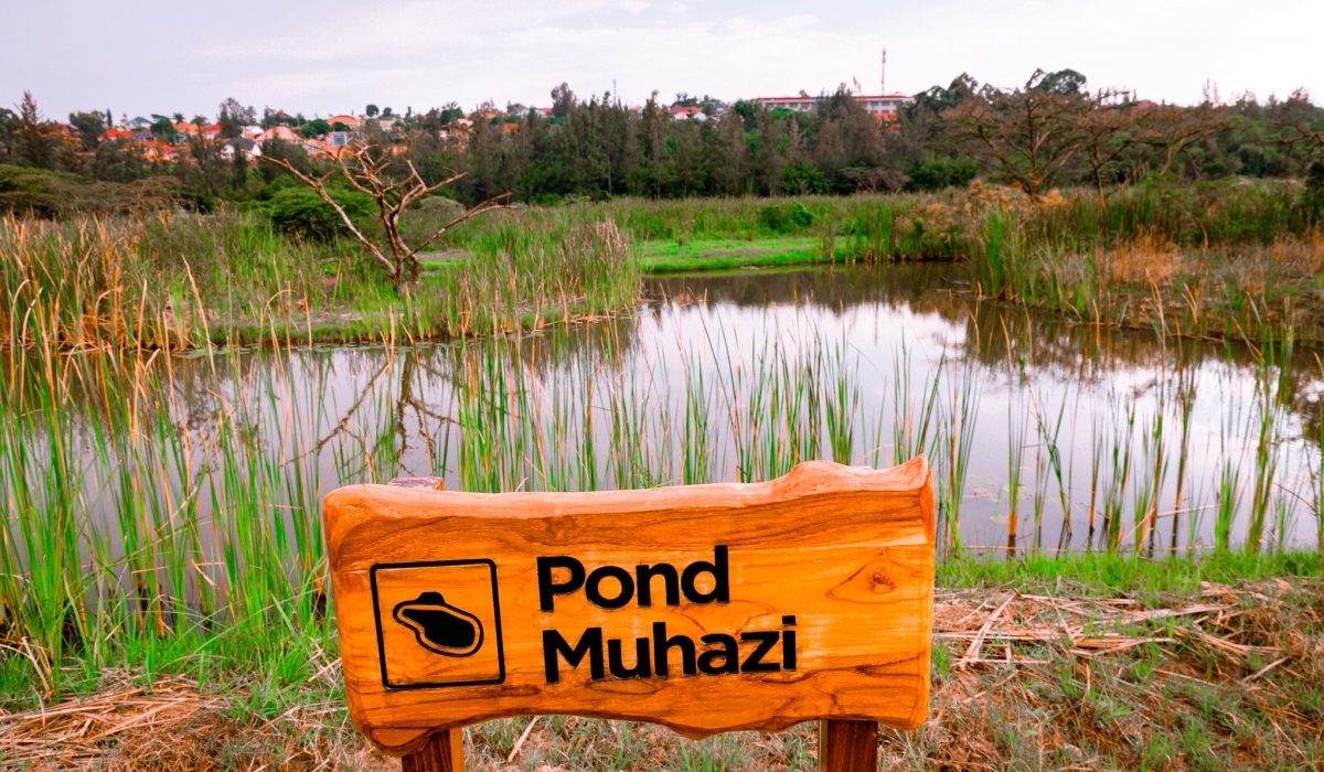 A view of Muhazi pond, one of the artificial ponds that were created at the revamped Nyandungu Wetland Eco-Tourism Park  in Kigali. File