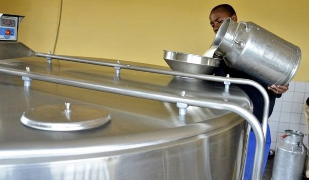 A worker on duty at a milk collection centre in Nyaruguru District. Rwanda will be producing 1,250,000 tonnes of milk every year by 2024 to satisfy market demand. Photo: File