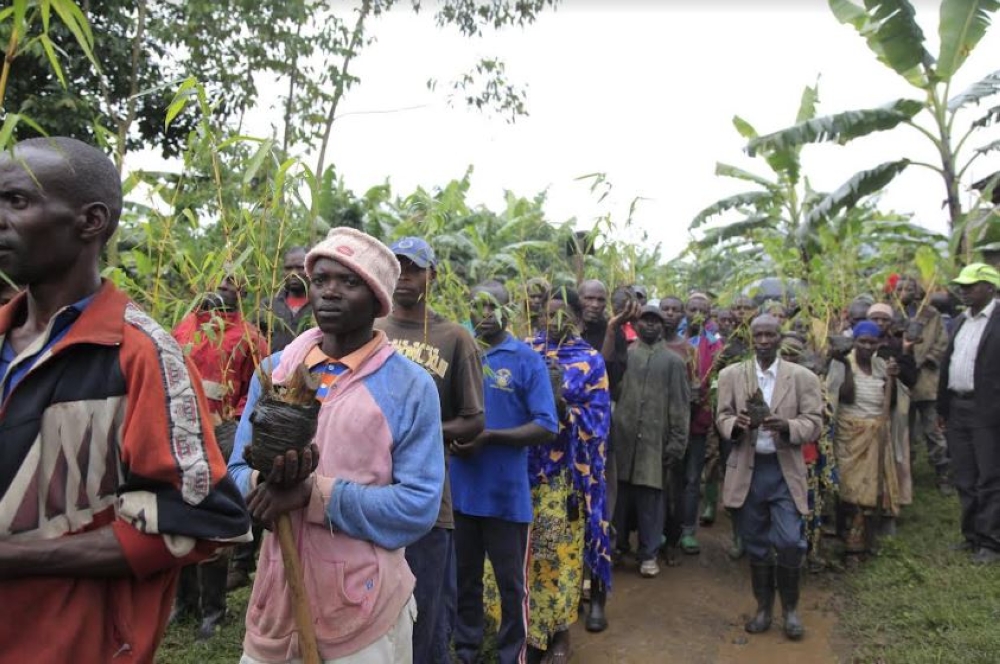 Residents of Rubavu during a tree planting activity around Sebeya River, which remains the leading river still bringing more waste in Lake Kivu and cause water pollution. Photo by Sam Ngendahimana