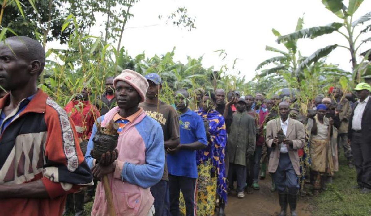 Residents of Rubavu during a tree planting activity around Sebeya River, which remains the leading river still bringing more waste in Lake Kivu and cause water pollution. Photo by Sam Ngendahimana