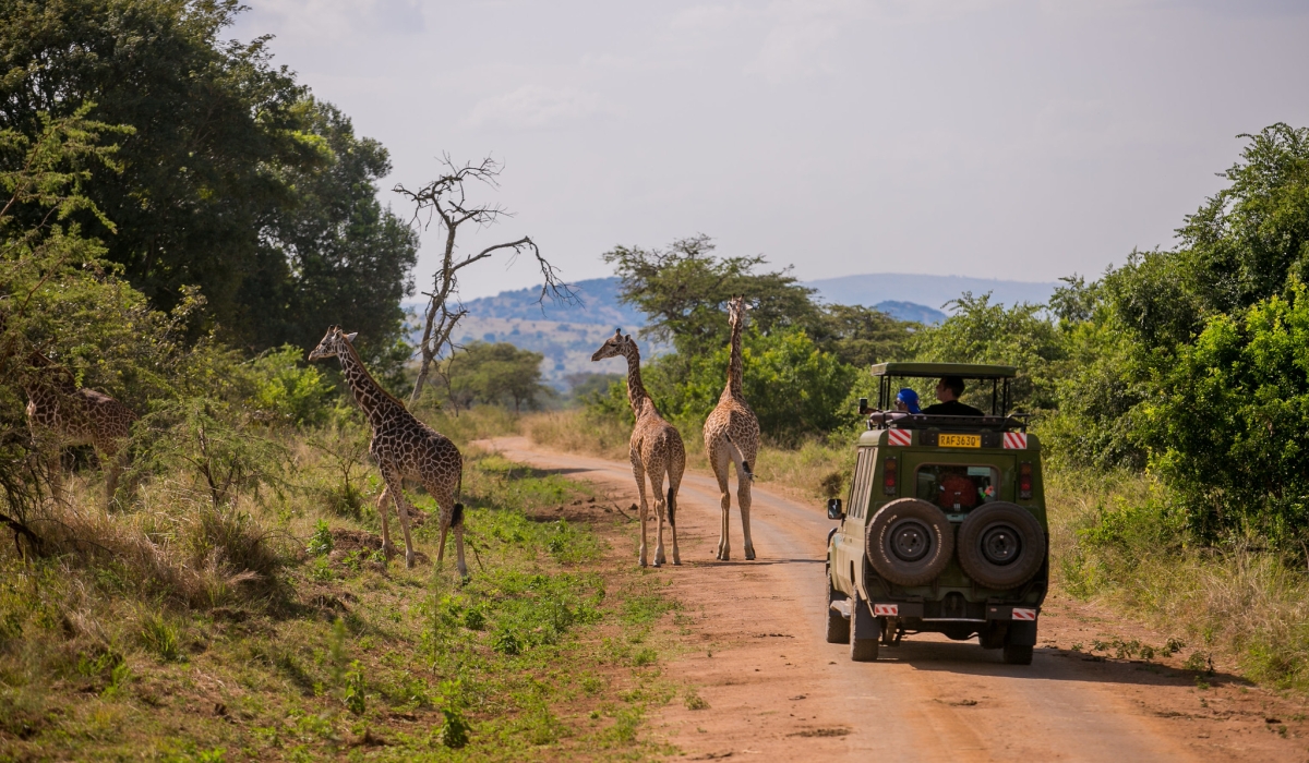 Tourists drive through Akagera National Park. Seen here taking pictures of giraffe at the park. The Park’s 2022 revenue exceeded projections by 132%. Courtesy