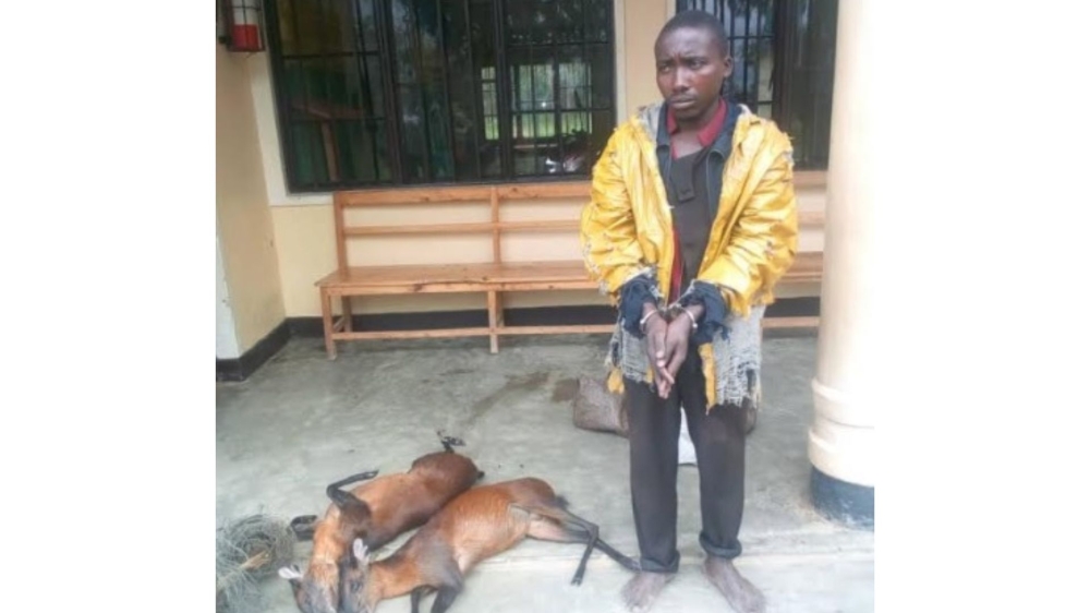 One of  poachers in Nyungwe Forest National Park ,who was arrested by Rwanda National Police in Nyamagabe District. Courtesy 