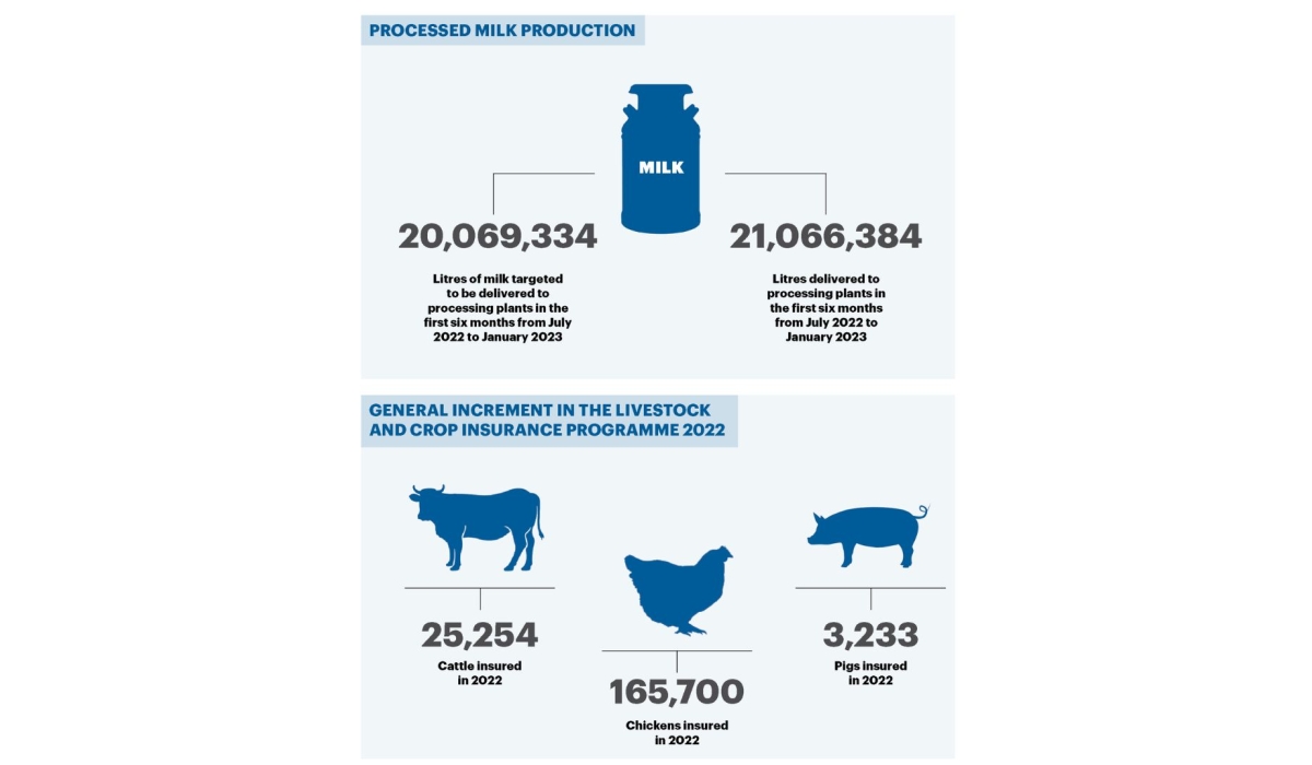 INFOGRAPHICS: As per projections, Rwanda had targeted to have 20,069,334 litres of milk delivered to processing plants in the first six months from July 2022 to January 2023. However, by the time the six months lapsed, there were, 21,066,384 liters of milk were delivered to milk processing plants.