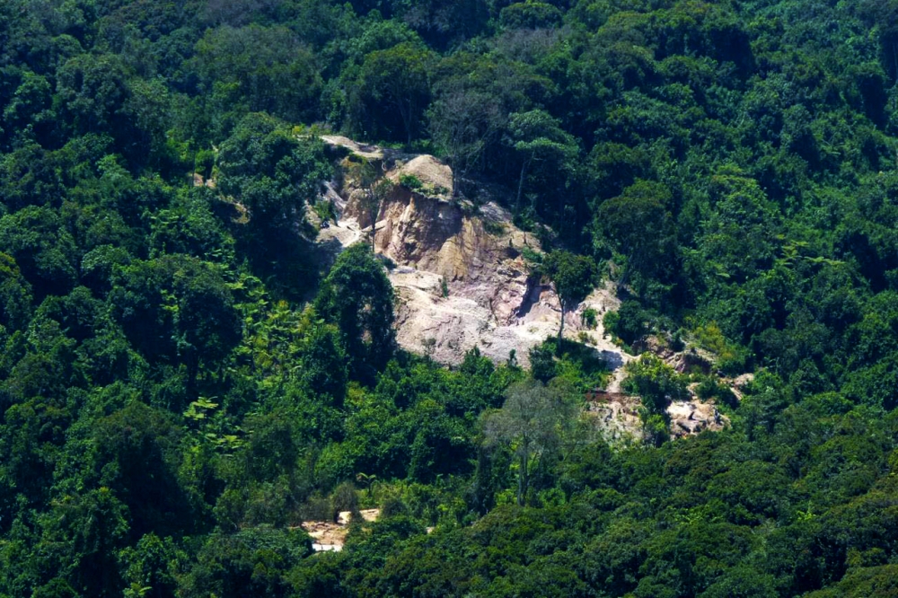 Aerial view of Gishwati-Mukura forest national park in Western Province. Personnel employed to protect forests across the country, have petitioned Parliament seeking support to address their concerns. File
