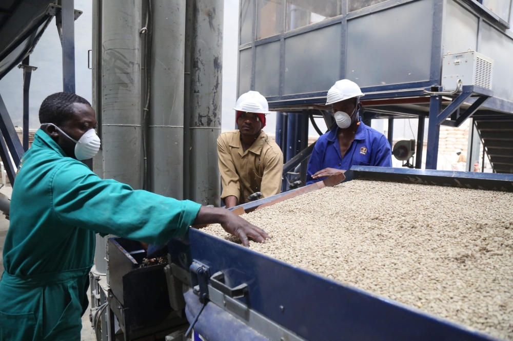 Workers sort  coffee for export at Kigali Special Economic Zone. According to NAEB Revenue from Rwanda’s coffee exports increased by 34 per cent to more than $105 million (about Rwf114 billion) in 2022