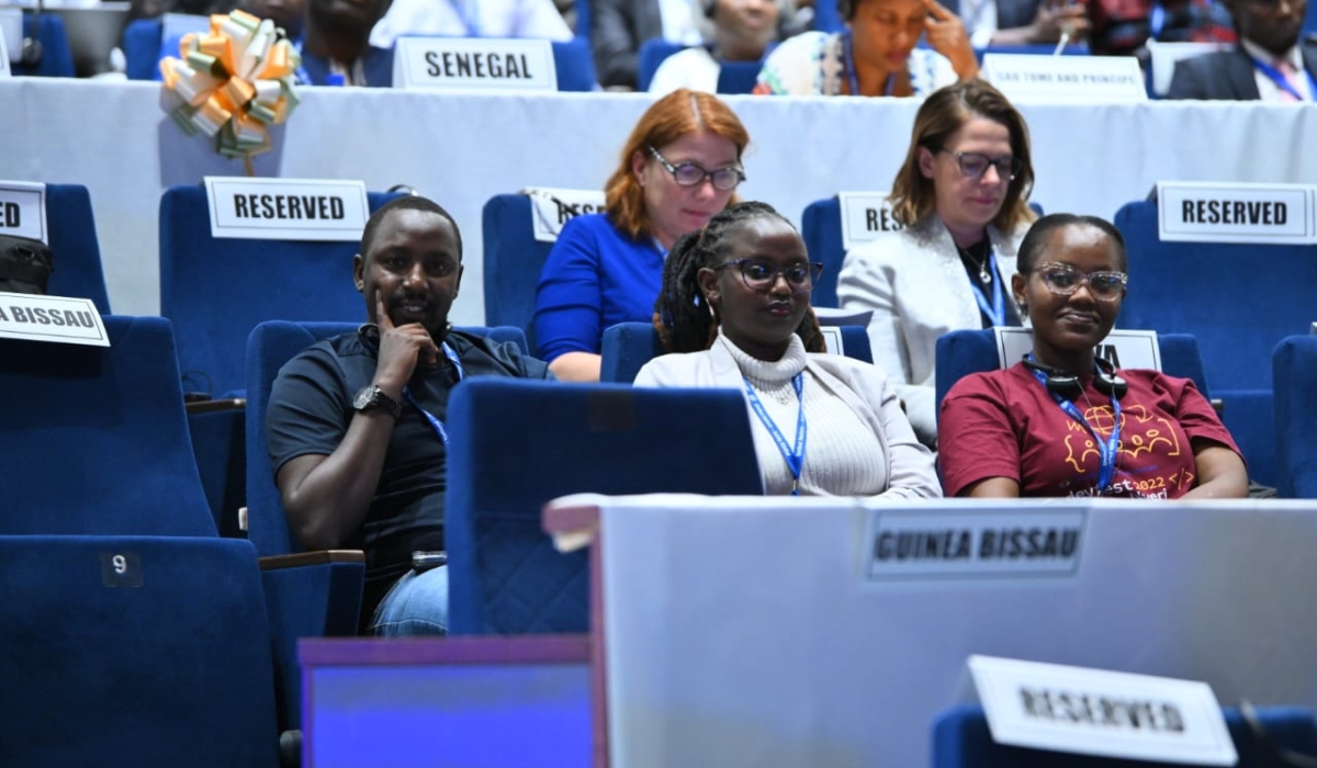 Delegates at In the 9th Africa Regional Forum on Sustainable Development Forum (ARFSD-9) held in Niamey, Niger. Courtesy