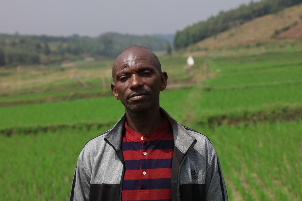 Joseph Nsekanabo, a rice farmer in Cyimpima, said the innovative integrated rice and fish farming has helped farmers cut production expenses.