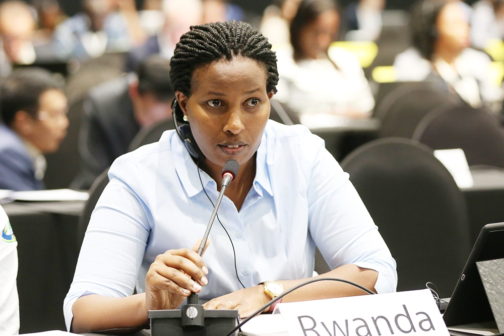 The Director General of Rwanda Environment Management Authority (REMA), Juliet Kabera (Courtesy)