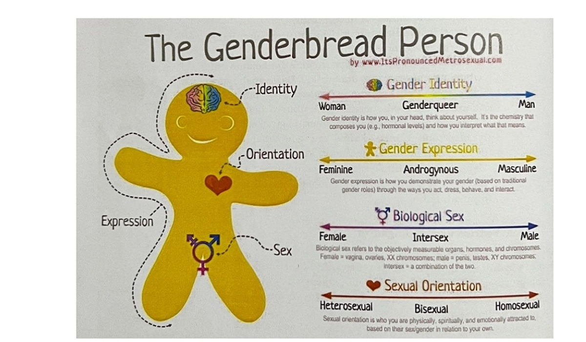 A page in the new Comprehensive Sexuality Education launched on March 31, that educates about gender identity and sexual orientation.
