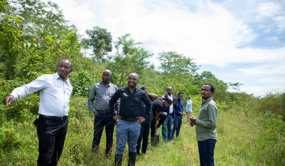 Experts during a guided tour of the newly rejuvenated native trees on the shore of Lake Muhazi. All Photos by Dan Gatsinzi