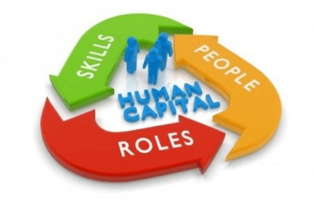 Human capital development