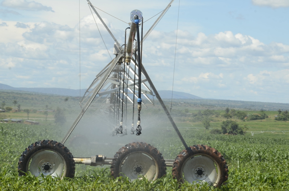 A view of Nasho Solar-powered irrigation Project that was established to boost productivity. According to a study, by 2050, there will be no less than 12,433 km² of agricultural land in Rwanda. Courtesy