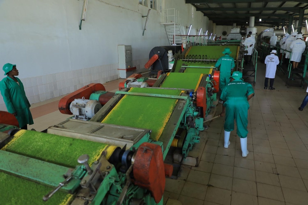 Employees working in tea factory in Nyamagabe district on  Thursday December 15 2022 Photo by Craish Bahizi