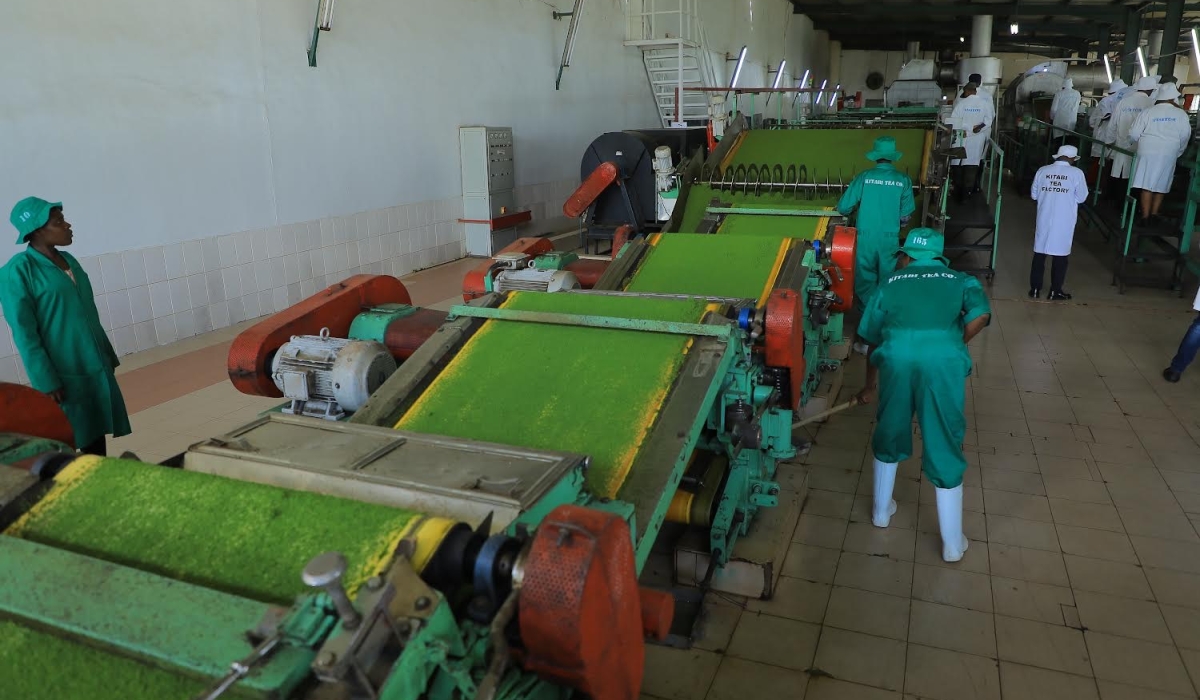 Employees working in tea factory in Nyamagabe district on  Thursday December 15 2022 Photo by Craish Bahizi