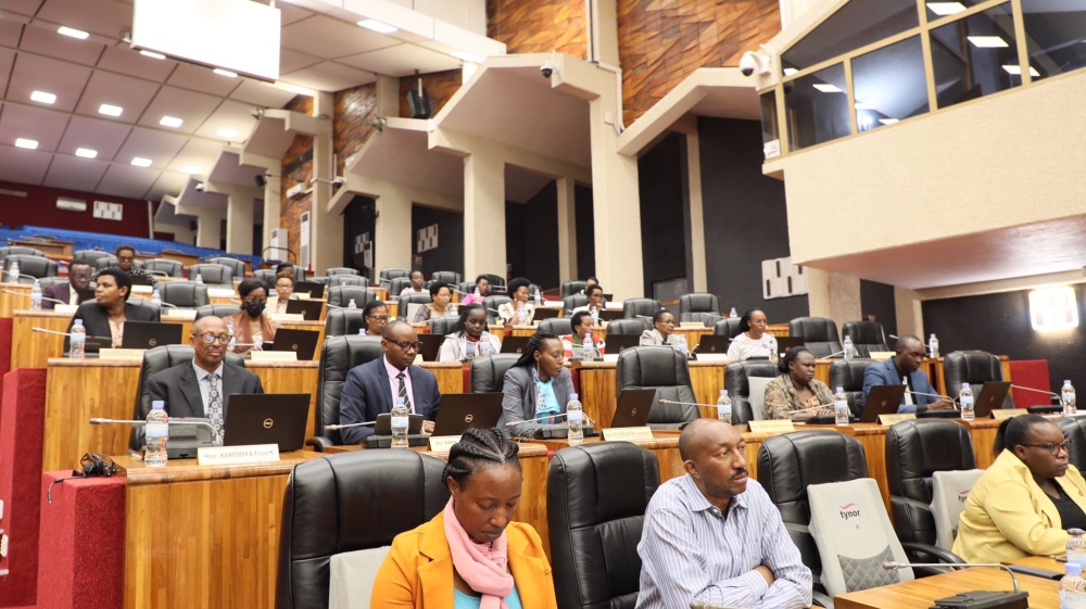 Members of Parliament during the plenary sitting of the Chamber of Deputies that adopted the relevance of the draft law regarding the development of the proposed IDs, on April 20. Photo: Courtesy.