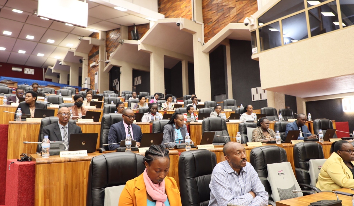 Members of Parliament during the plenary sitting of the Chamber of Deputies that adopted the relevance of the draft law regarding the development of the proposed IDs, on April 20. Photo: Courtesy.