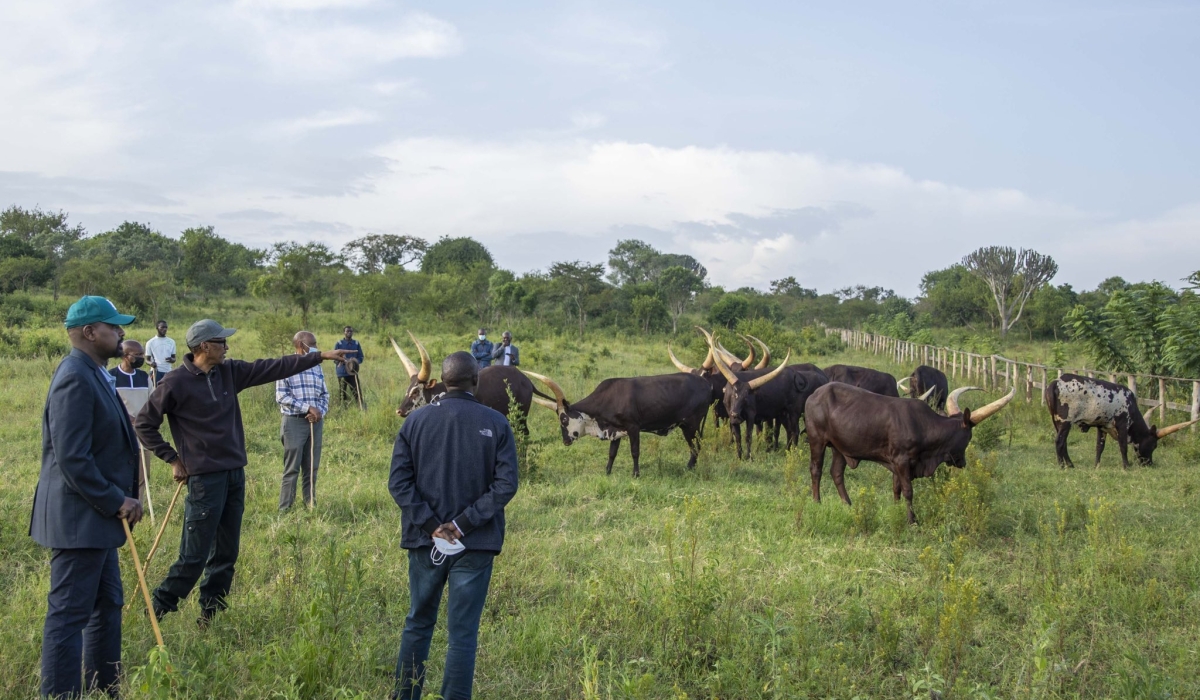 All photos by Village Urugwiro