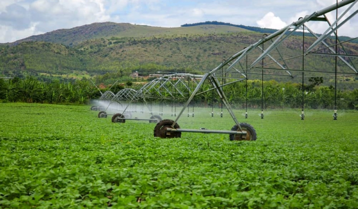 Howard Buffet irrigation project in Nasho, photo Kirehe District