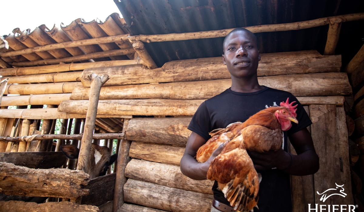 Felix Ngogoza holding a chicken.