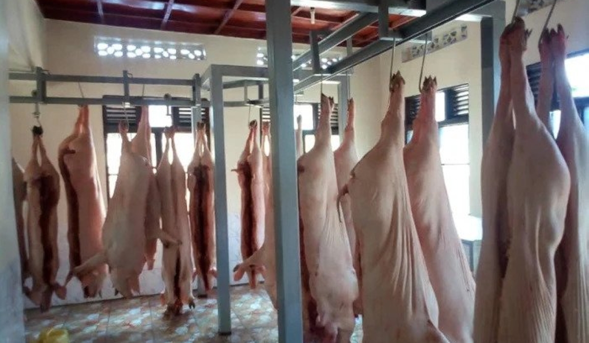 Some pigs that are slaughter at Gakenke modern abattoir. According to officials plans are underway to facilitate schools integrate pork in school feeding programme as means to eradicate malnutrition. Courtesy