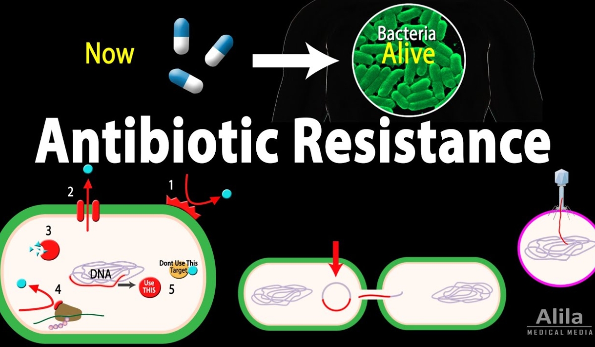 The World Health Organization has considered, “antibiotic resistance”, as one of the current top 10 global health concerns.