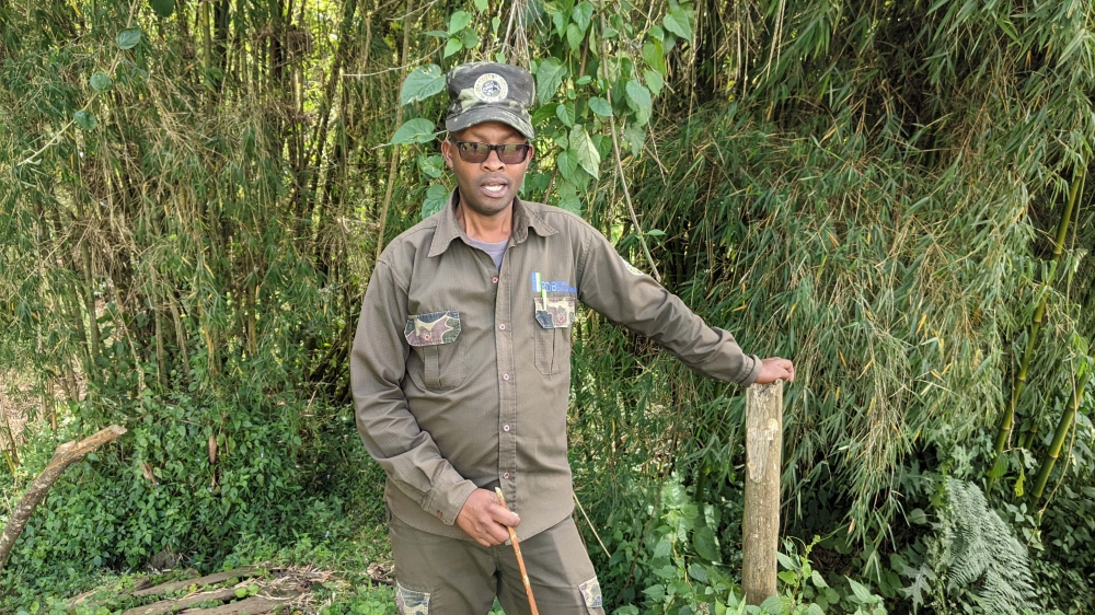 Francis Bayingana, the warden for Volcano National Park during a interview at the park. Photos by Germain Nsanzimana