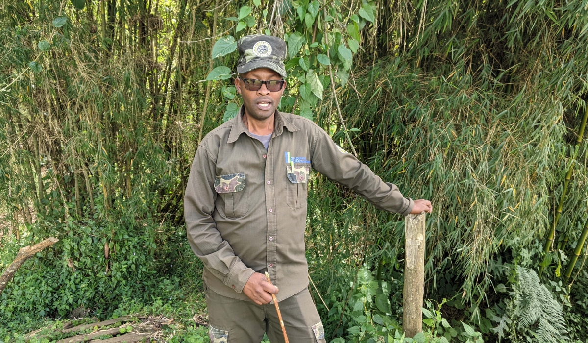 Francis Bayingana, the warden for Volcano National Park during a interview at the park. Photos by Germain Nsanzimana