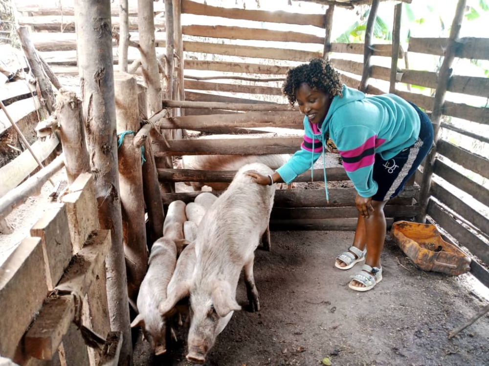 Umutoniwase, works in her pig farm in Kigeme Refugee Camp  in Nyamagabe District of Rwanda.