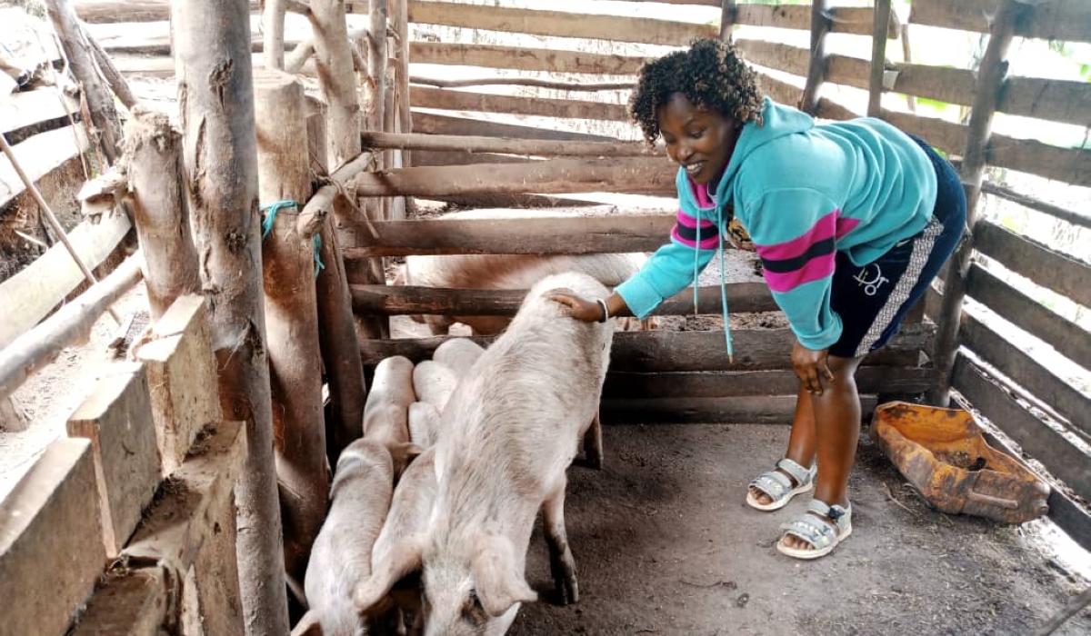 Umutoniwase, works in her pig farm in Kigeme Refugee Camp  in Nyamagabe District of Rwanda.