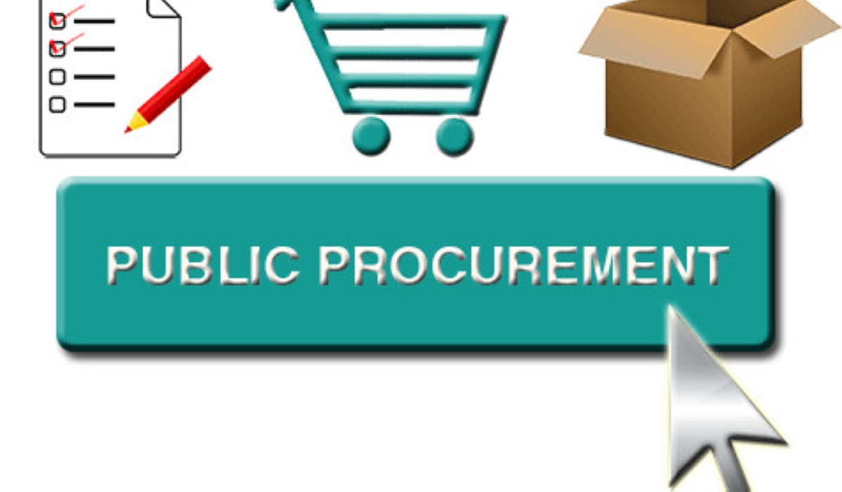 A public procurement system should be based on the following seven globally accepted principles value for money, economy, integrity, ﬁt for purpose, efﬁciency, transparency, and fairness.