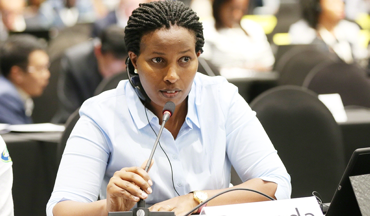 The Director General of Rwanda Environment Management Authority (REMA), Juliet Kabera (Courtesy)