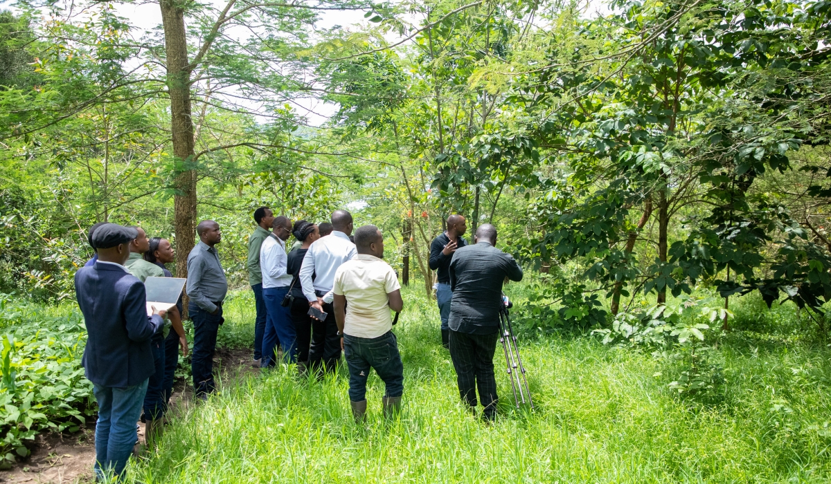 Activits during a guided tour of a new restored forests of indigenous trees in Rwamagana. Photo by Dan Gatsinzi
