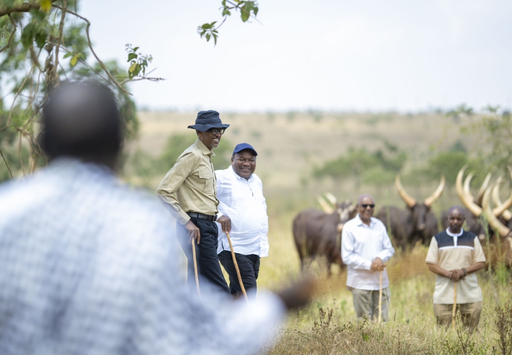 President Kagame and his Mozambican counterpart President Nyusi during a tour of his farm where he gifted him with Inyambo cows at Kibugabuga in Bugesera District, on Saturday, July 29. Photo by Village Urugwiro