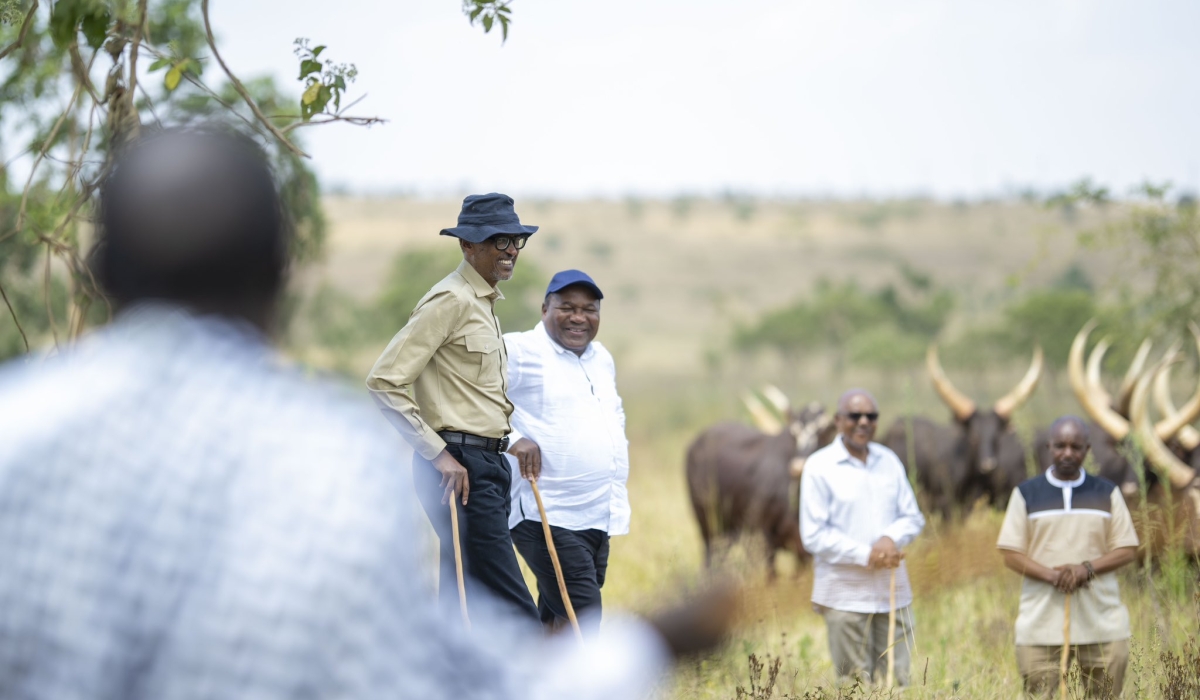President Kagame and his Mozambican counterpart President Nyusi during a tour of his farm where he gifted him with Inyambo cows at Kibugabuga in Bugesera District, on Saturday, July 29. Photo by Village Urugwiro