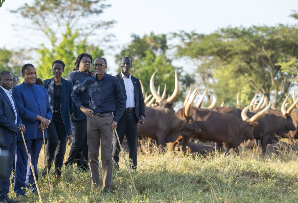 President Paul Kagame and President of the Republic of Congo Sassou Nguesso during a tour of Kagame&#039;s farm at Kibugabuga in Bugesera District on Sunday, July 23. Urugwiro