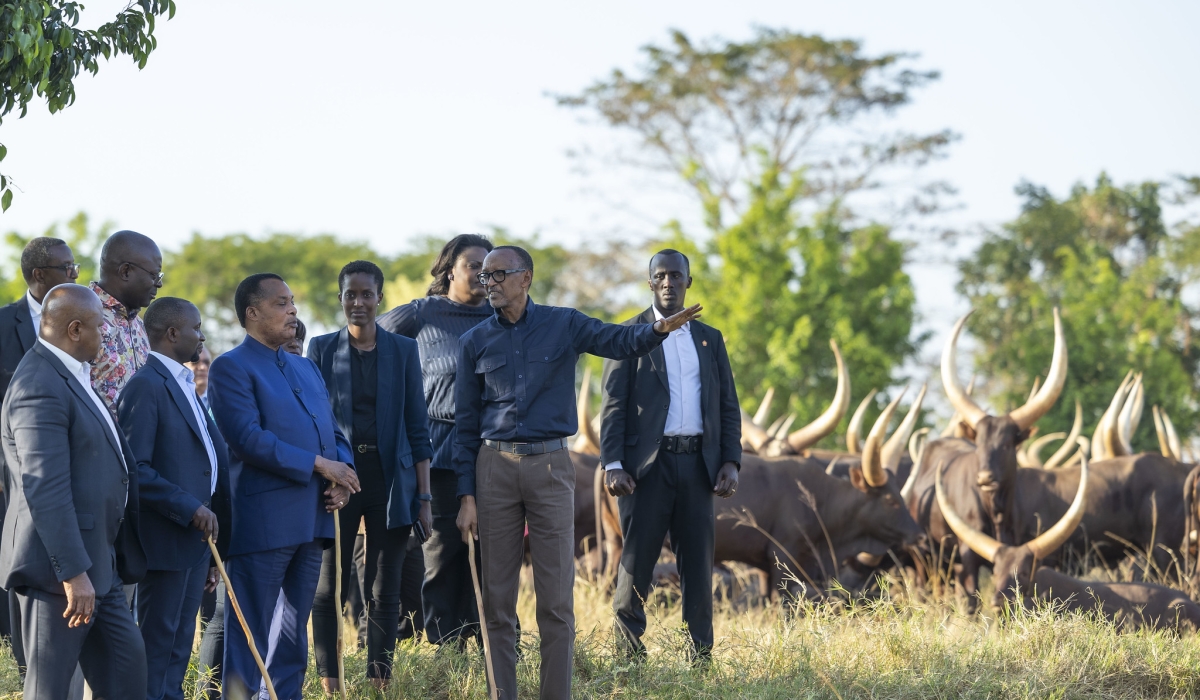 President Kagame and his counterpart  Sassou-Nguesso of The Republic of Congo, at Kibugabuga farm in Bugesera District. In the history of Rwanda, Inyambo have never been thought of as a means to diplomatic ties.