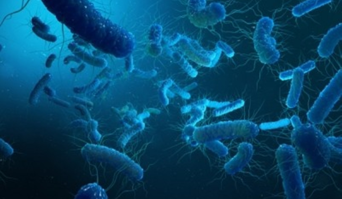 Scientist discover bacteria which could help tackle malaria.