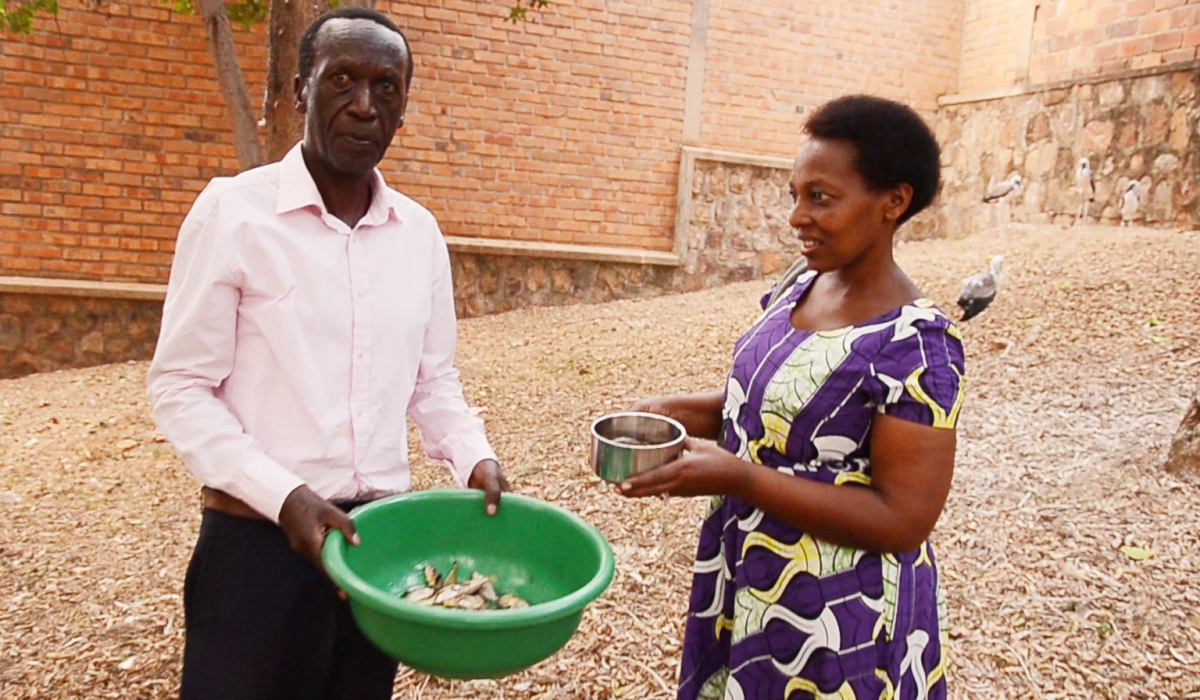 Ndatana and his wife feed white storks  in Kicukiro. According to Ndatana, feeding young white storks is important. He said  these birds have some cultures similar to those of humans.Courtesy