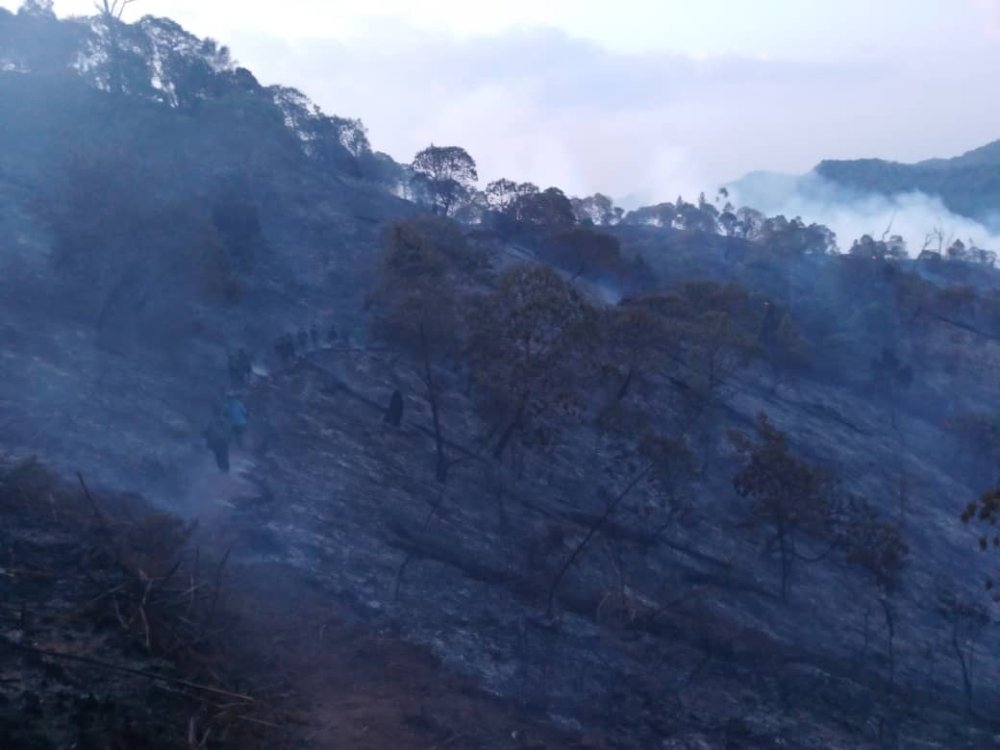 The wildfire, which ignited on Monday evening, has inflicted severe damage on part of the forest which is located within the Bweyeye sector of Rusizi district.Courtesy