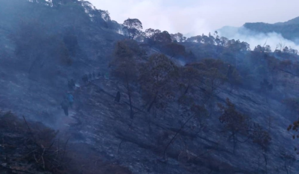 The wildfire, which ignited on Monday evening, has inflicted severe damage on part of the forest which is located within the Bweyeye sector of Rusizi district.Courtesy