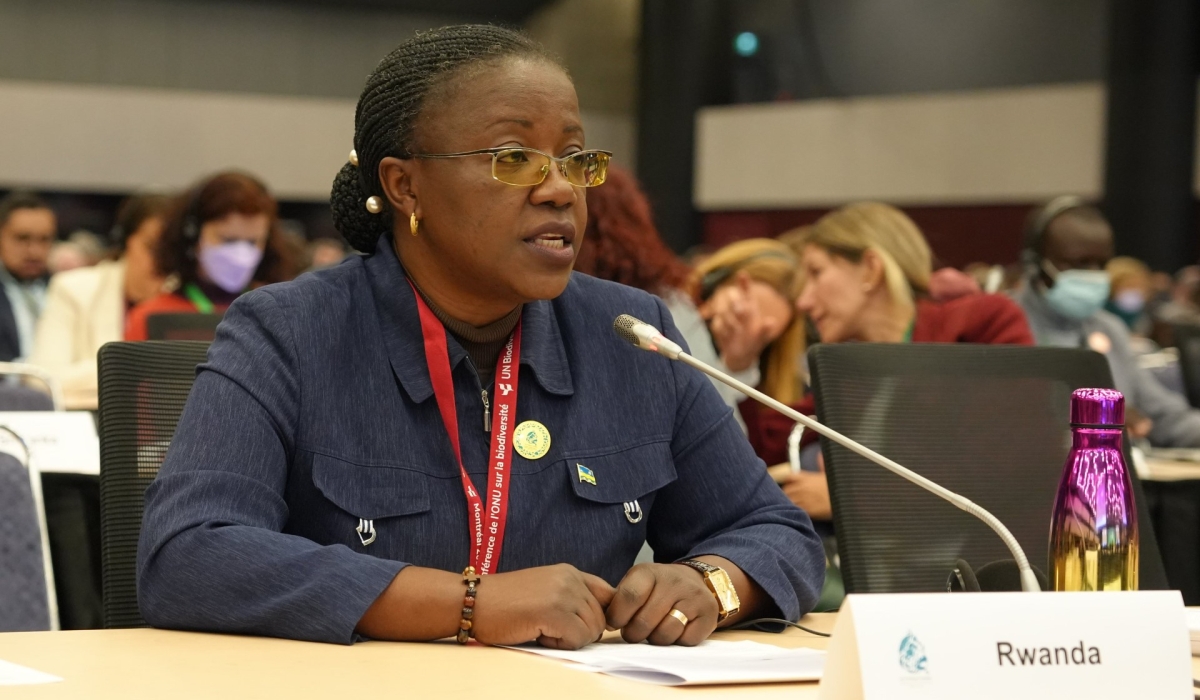 Minister for Environment, Jeanne d’Arc Mujawamariya, said Rwanda expects tangible commitments and pledges to increase access to reliable low-carbon energy during the Africa Climate Summit. Photo: Courtesy.